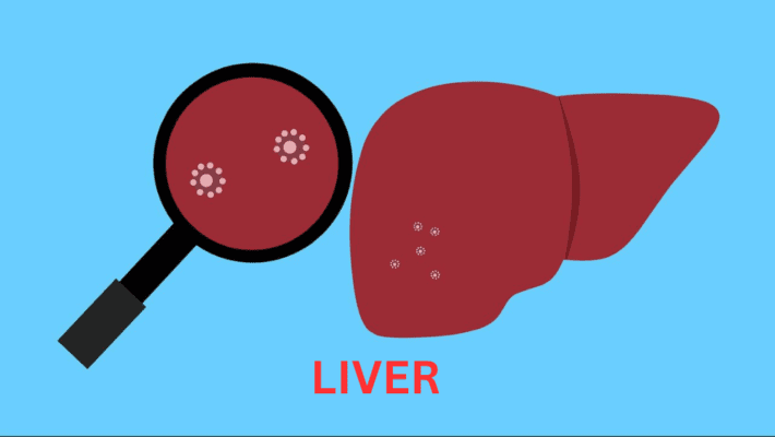 liver